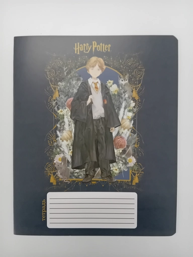 Гарри Поттер (тетрадь в клетку, 12 листов): купить с доставкой по Кипру или в книжных магазинах Букберри в Лимасоле, Ларнаке и Пафосе