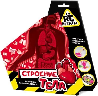Набор для проведения опытов "Re-Агенты. Строение тела" модели арт.EX101Т: купить с доставкой по Кипру или в книжных магазинах Букберри в Лимасоле, Ларнаке и Пафосе