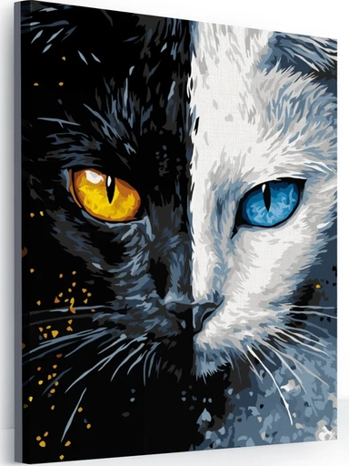 Картина по номерам-"Кошачий взгляд": купить с доставкой по Кипру или в книжных магазинах Букберри в Лимасоле, Ларнаке и Пафосе