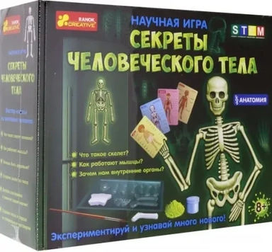 Набор для опытов. Анатомия. Скелет человека: купить с доставкой по Кипру или в книжных магазинах Букберри в Лимасоле, Ларнаке и Пафосе