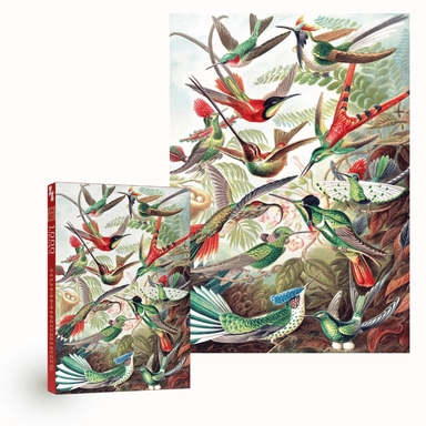 Hummingbirds from 1899 — пазл на 1000 деталей: купить с доставкой по Кипру или в книжных магазинах Букберри в Лимасоле, Ларнаке и Пафосе