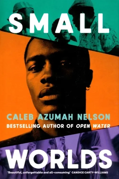 Small Worlds: купить с доставкой по Кипру или в книжных магазинах Букберри в Лимасоле, Ларнаке и Пафосе