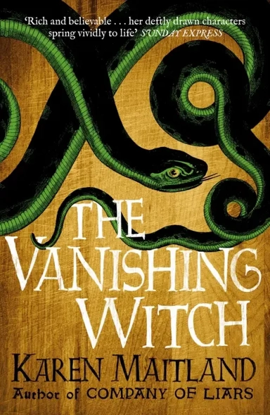 The Vanishing Witch: купить с доставкой по Кипру или в книжных магазинах Букберри в Лимасоле, Ларнаке и Пафосе
