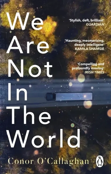 We Are Not in the World: купить с доставкой по Кипру или в книжных магазинах Букберри в Лимасоле, Ларнаке и Пафосе