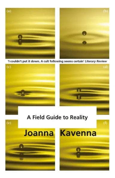 A Field Guide to Reality: купить с доставкой по Кипру или в книжных магазинах Букберри в Лимасоле, Ларнаке и Пафосе