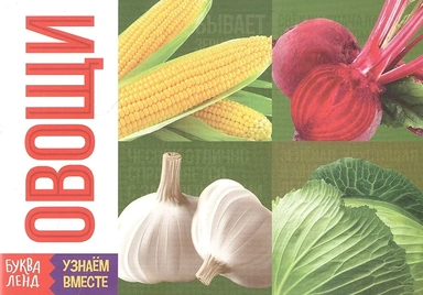 Обучающая книга «Овощи»: купить с доставкой по Кипру или в книжных магазинах Букберри в Лимасоле, Ларнаке и Пафосе