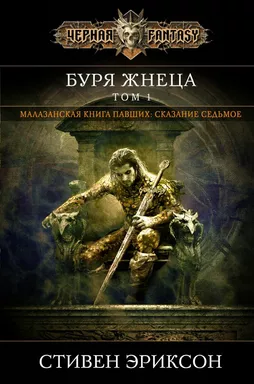 Буря Жнеца. Том 1: купить с доставкой по Кипру или в книжных магазинах Букберри в Лимасоле, Ларнаке и Пафосе