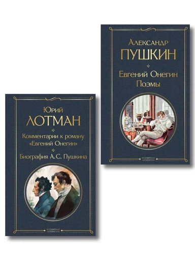 Расшифрованный Евгений Онегин (набор из 2 книг: Евгений Онегин, Комментарии к роману «Евгений Онегин». Биография А. С. Пушкина): купить с доставкой по Кипру или в книжных магазинах Букберри в Лимасоле, Ларнаке и Пафосе