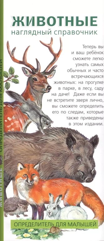 Животные. Наглядный справочник. Определитель для малышей: купить с доставкой по Кипру или в книжных магазинах Букберри в Лимасоле, Ларнаке и Пафосе