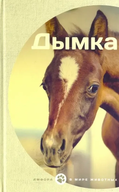 Дымка: купить с доставкой по Кипру или в книжных магазинах Букберри в Лимасоле, Ларнаке и Пафосе