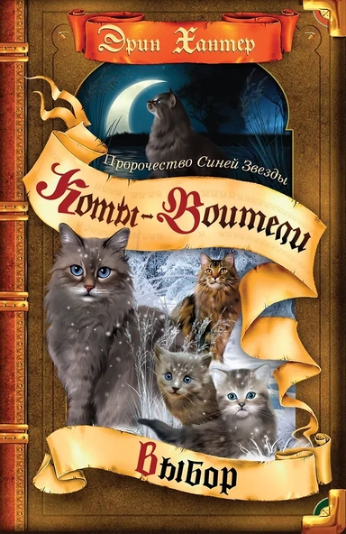 Пророчество Синей Звезды. Выбор: купить с доставкой по Кипру или в книжных магазинах Букберри в Лимасоле, Ларнаке и Пафосе