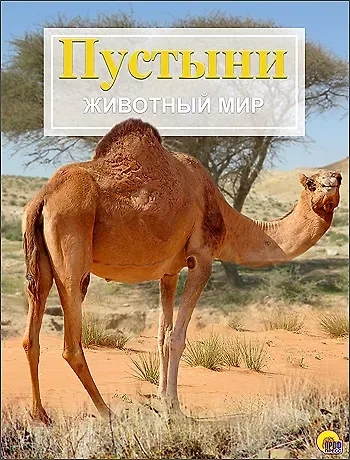 Пустыни и кустарниковые местности. Животный мир: купить с доставкой по Кипру или в книжных магазинах Букберри в Лимасоле, Ларнаке и Пафосе