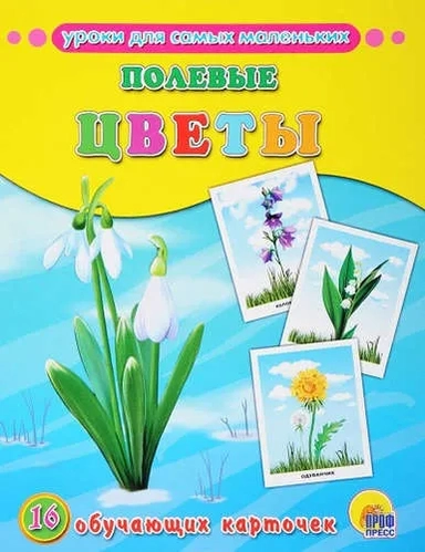 Полевые цветы: купить с доставкой по Кипру или в книжных магазинах Букберри в Лимасоле, Ларнаке и Пафосе