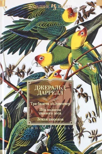 Три билета до Эдвенчер. Под пологом пьяного леса. Земля шорохов: купить с доставкой по Кипру или в книжных магазинах Букберри в Лимасоле, Ларнаке и Пафосе