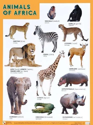 Плакаты (англ). ANIMALS OF AFRICA (Животные Африки): купить с доставкой по Кипру или в книжных магазинах Букберри в Лимасоле, Ларнаке и Пафосе