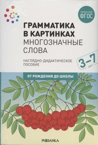 Наглядное пособие. Грамматика в картинках. Многозначные слова: купить с доставкой по Кипру или в книжных магазинах Букберри в Лимасоле, Ларнаке и Пафосе