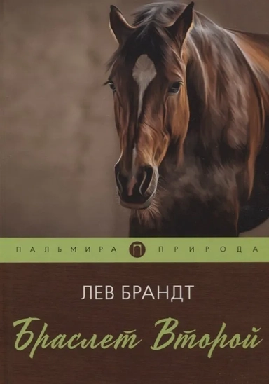 Браслет Второй: повесть: купить с доставкой по Кипру или в книжных магазинах Букберри в Лимасоле, Ларнаке и Пафосе