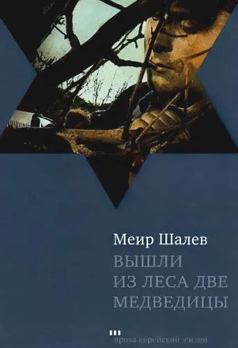 Вышли из леса две медведицы: купить с доставкой по Кипру или в книжных магазинах Букберри в Лимасоле, Ларнаке и Пафосе