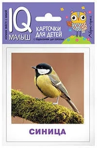 Умный малыш. Птицы: купить с доставкой по Кипру или в книжных магазинах Букберри в Лимасоле, Ларнаке и Пафосе