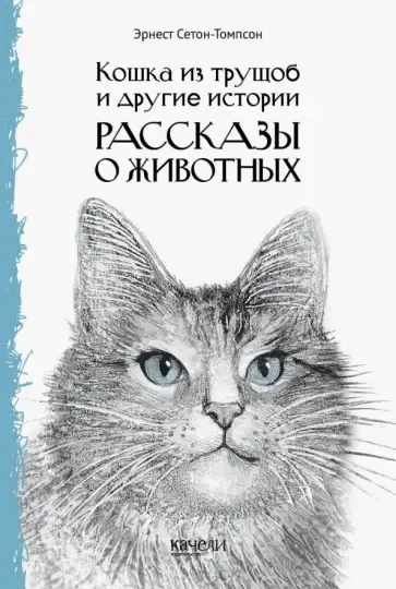 Кошка из трущоб: купить с доставкой по Кипру или в книжных магазинах Букберри в Лимасоле, Ларнаке и Пафосе