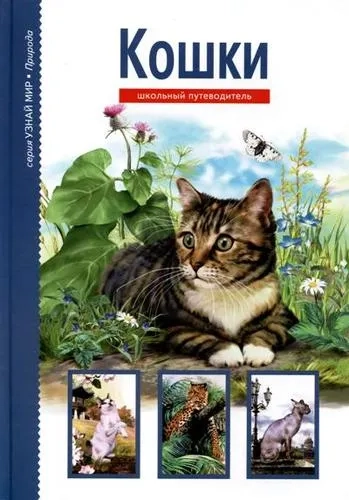 Кошки: купить с доставкой по Кипру или в книжных магазинах Букберри в Лимасоле, Ларнаке и Пафосе