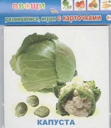 Обучающие карточки Овощи (упаковка) (978-5-91282-664-1): купить с доставкой по Кипру или в книжных магазинах Букберри в Лимасоле, Ларнаке и Пафосе