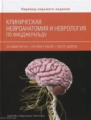 Клиническая нейроанатомия и неврология по Фицжеральду: купить с доставкой по Кипру или в книжных магазинах Букберри в Лимасоле, Ларнаке и Пафосе