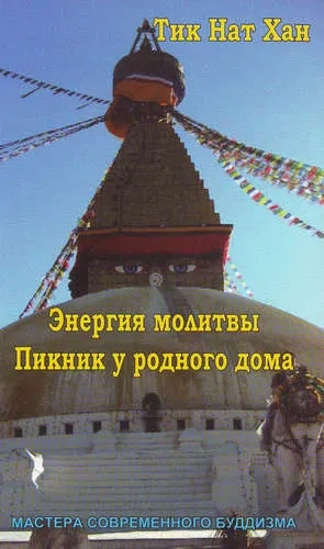 Энергия молитвы. Пикник у родного дома: купить с доставкой по Кипру или в книжных магазинах Букберри в Лимасоле, Ларнаке и Пафосе