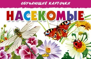 Карточки "Насекомые": купить с доставкой по Кипру или в книжных магазинах Букберри в Лимасоле, Ларнаке и Пафосе