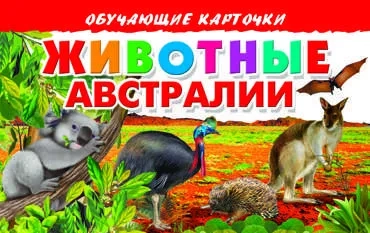 Карточки. Животные Австралии: купить с доставкой по Кипру или в книжных магазинах Букберри в Лимасоле, Ларнаке и Пафосе