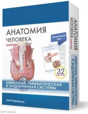 Анатомия человека.Имунная,лимф.сис.КАРТОЧКИ (32шт): купить с доставкой по Кипру или в книжных магазинах Букберри в Лимасоле, Ларнаке и Пафосе