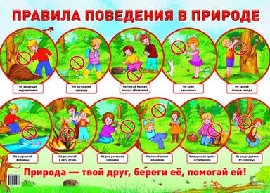 Дем. плакат ПРАВИЛА ПОВЕДЕНИЯ В ПРИРОДЕ (Формат А2): купить с доставкой по Кипру или в книжных магазинах Букберри в Лимасоле, Ларнаке и Пафосе