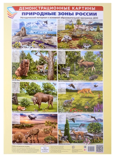 Природные зоны России. Демонстрационные картины. Учебно-методическое пособие: купить с доставкой по Кипру или в книжных магазинах Букберри в Лимасоле, Ларнаке и Пафосе