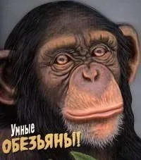 Дикие животные. Умные обезьяны: купить с доставкой по Кипру или в книжных магазинах Букберри в Лимасоле, Ларнаке и Пафосе