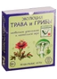 Купить Игра настольная, Правильные игры, Эволюция. Трава и грибы» на заказ с доставкой по всему Кипру