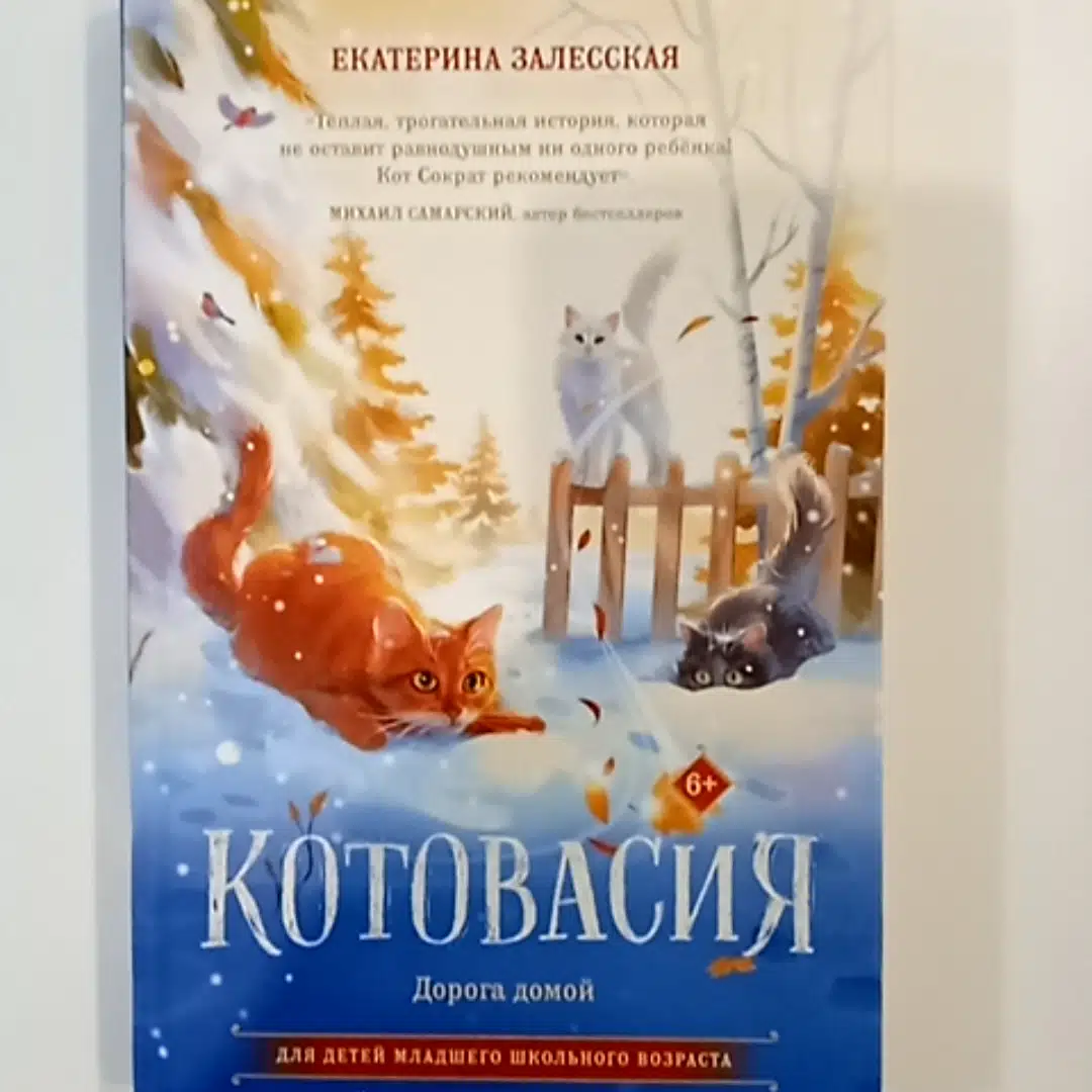 Котовасия. Дорога домой (Залесская Екатерина Васильевна) - купить книгу или  взять почитать в «Букберри», Кипр, Пафос, Лимассол, Ларнака, Никосия.  Магазин × Библиотека Bookberry CY